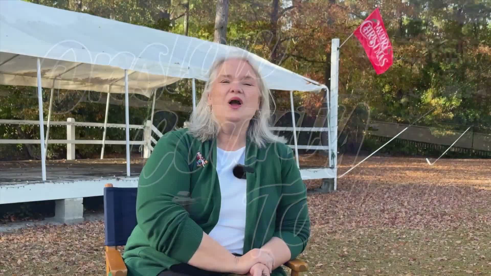 Onslow County outlines holiday calendar: Lights Over Onslow, library programs and winter market