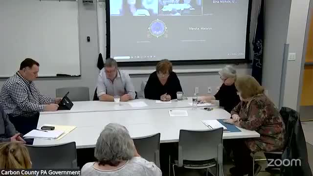 Committee alerted to proposed state bill on homelessness; members warned about funding and implementation