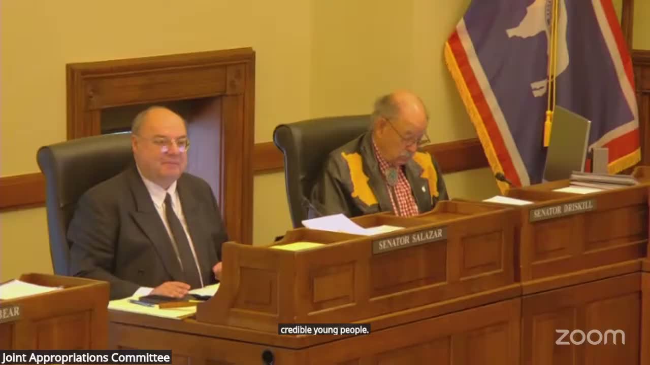 High school We the People team briefs Appropriations Committee, asks for continued competition support