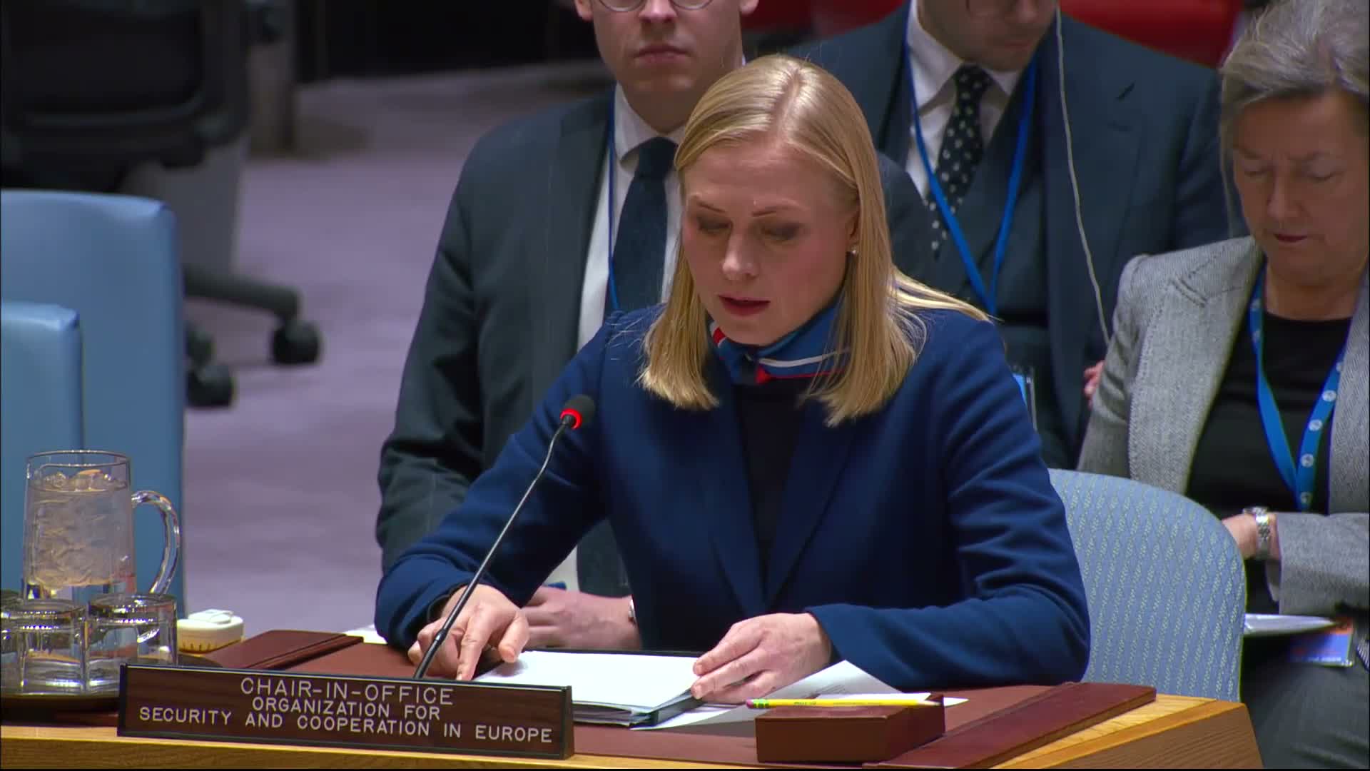 OSCE chair tells Security Council Russia violates UN Charter, urges support for Ukraine