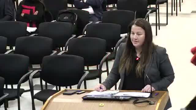 Council adopts temporary Special Event Zone for Super Bowl week with focused vendor, vending and safety rules