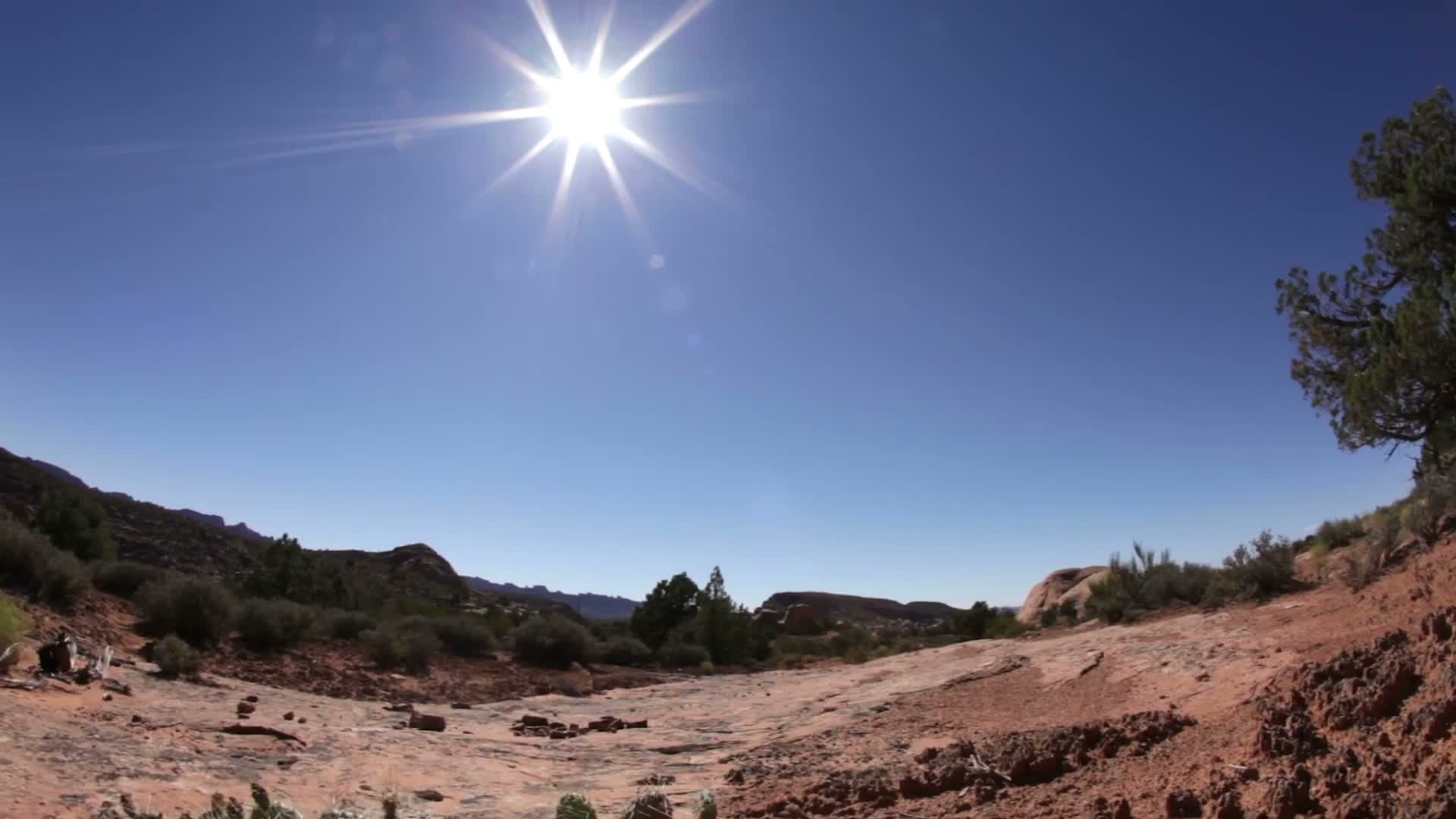 Holidays on the Square returns to Goodyear with games, synthetic ice rink and civic outreach