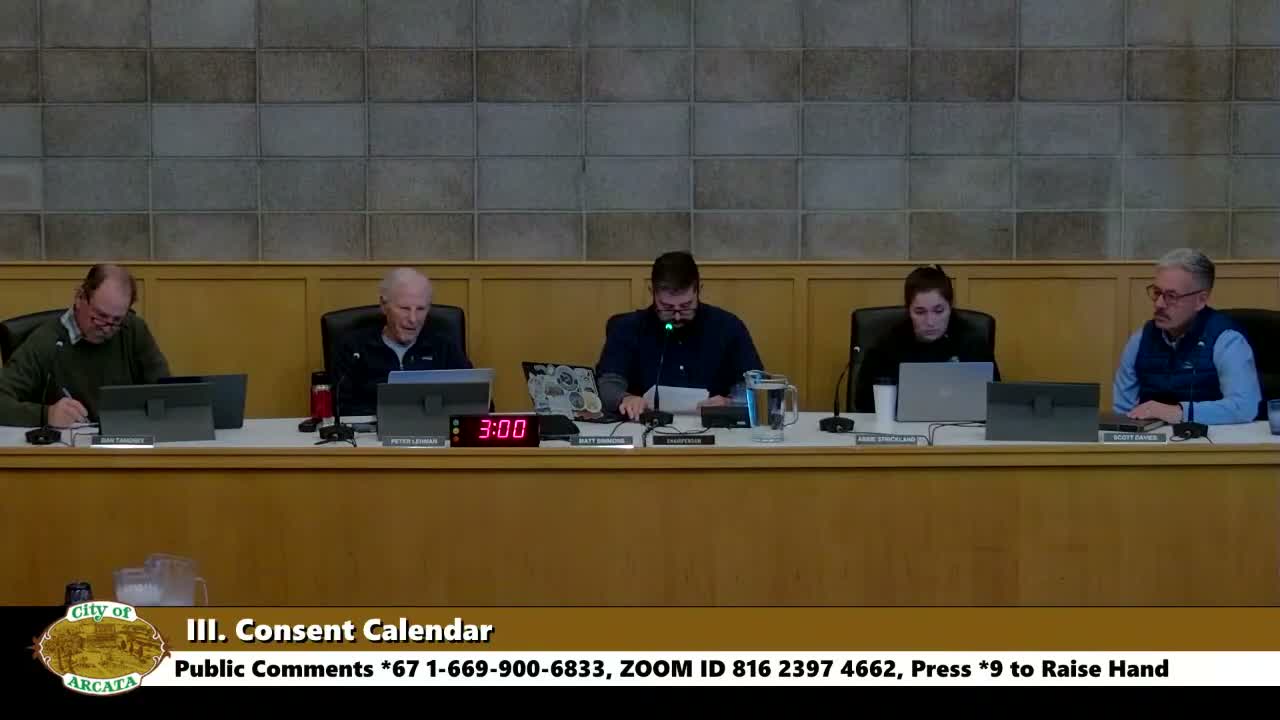 Arcata planning commission approves Eco Groovy master sign plan, flags need to revisit sign code