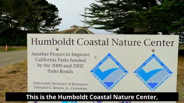 Friends of the Dunes spotlights coastal resiliency, trails and education at Humboldt Coastal Nature Center