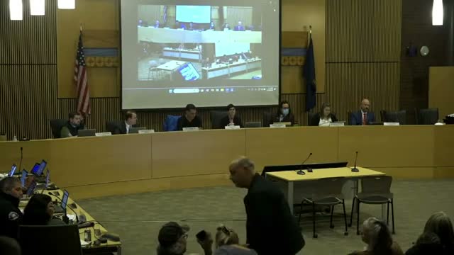 Council adopts ordinances on landscaping, zoning and economic council bylaws; appointments approved