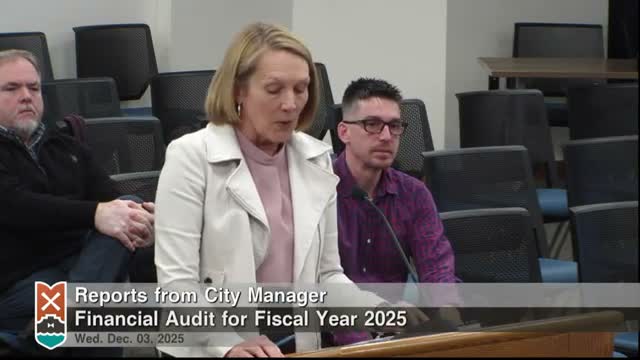 Holland City Council adopts FY2025 audit, cites strong fund balance and single recommendation