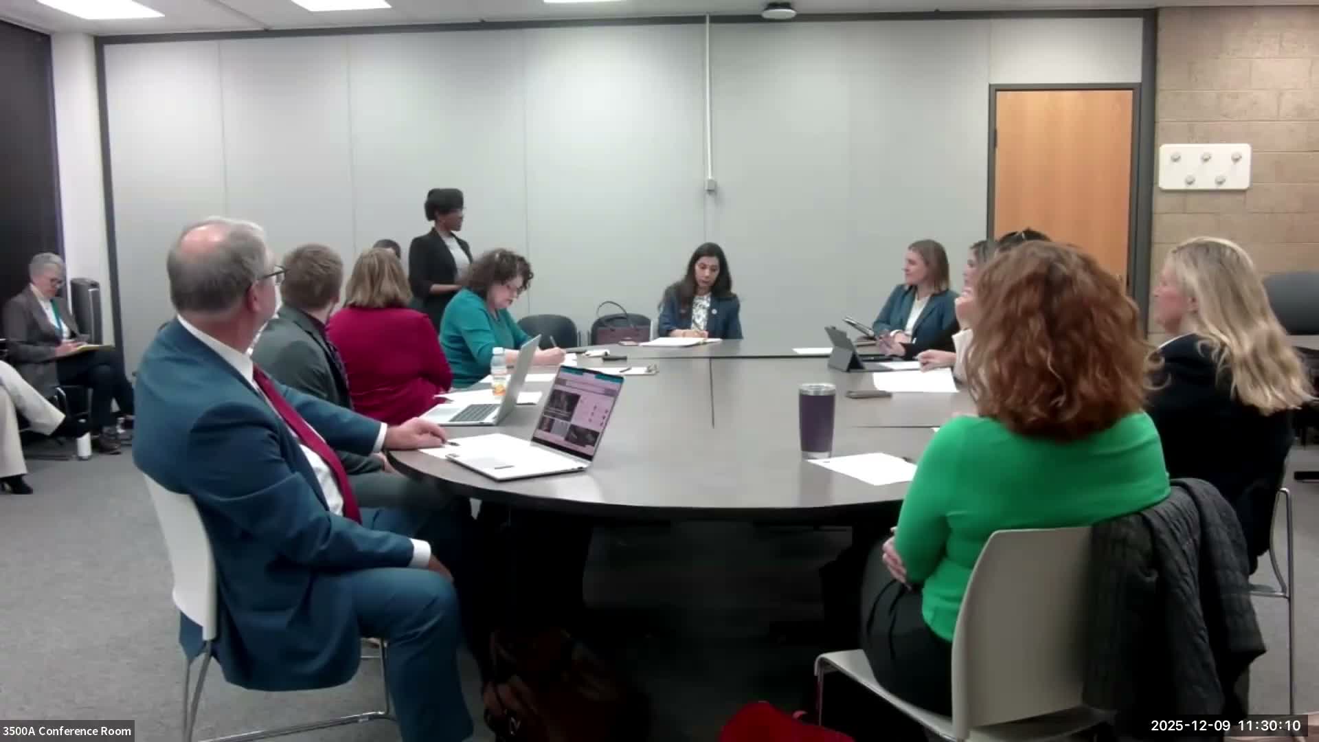 DuPage County committee reviews fiscal plan, ARPA spending and ERP timeline; minutes approved