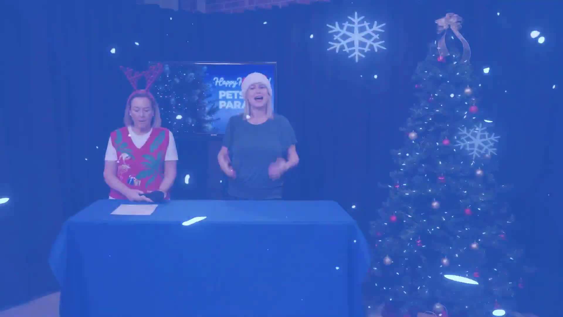 Ineligible: Holiday pet adoption special at Martin County Administrative Center