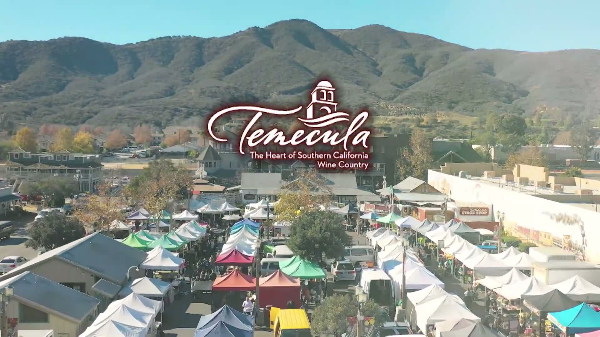 Temecula Community Services Commission holds brief final meeting; minutes approved and commissioners thanked