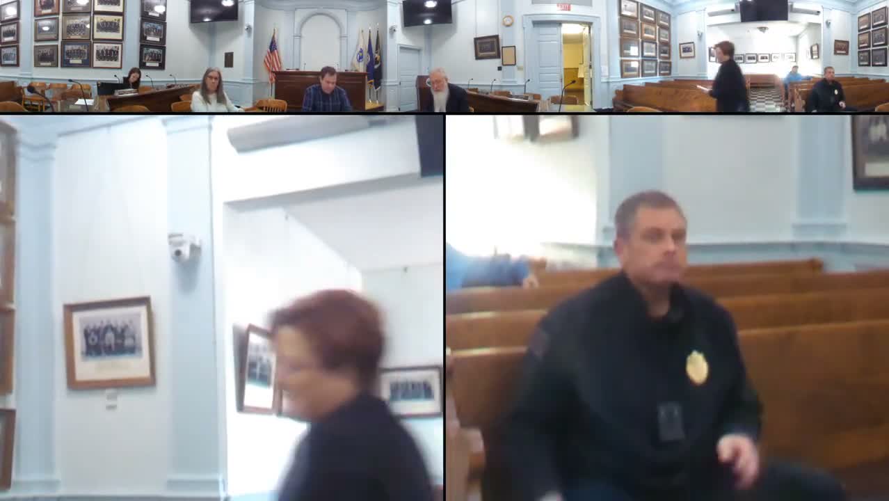 Committee approves motor‑vehicle dealer license renewals and moves to amend parking‑ban ordinance title