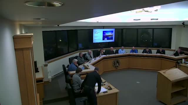 Council approves special use permit for car‑detailing business at 432 McArthur Street