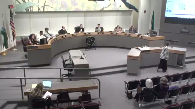 City details 2025 construction plan; Meadow Lane/Highway 195 safety redesign prioritized