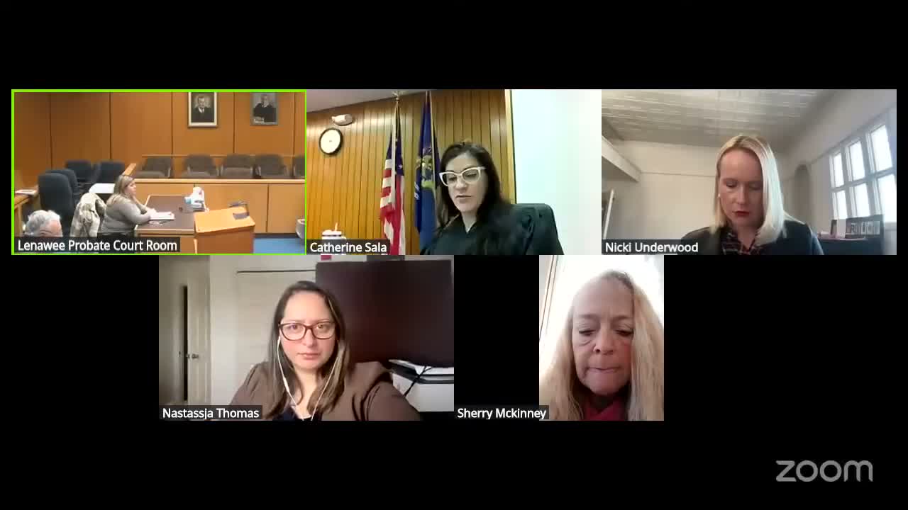 Court hears medical and child-welfare testimony in consolidated permanency review and termination petition for a King family