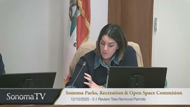 Bocce Sonoma seeks semi-permanent shade at Depot Park; commission gives conceptual support