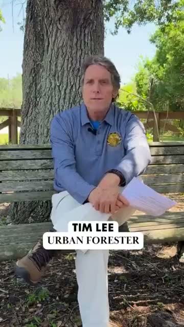 Davie urban forester urges planting native, noninvasive trees in parks