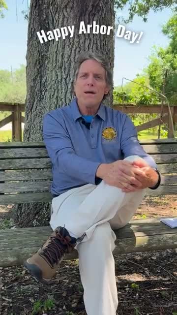 Davie urban forester marks Arbor Day, flags recent canopy loss and school planting program