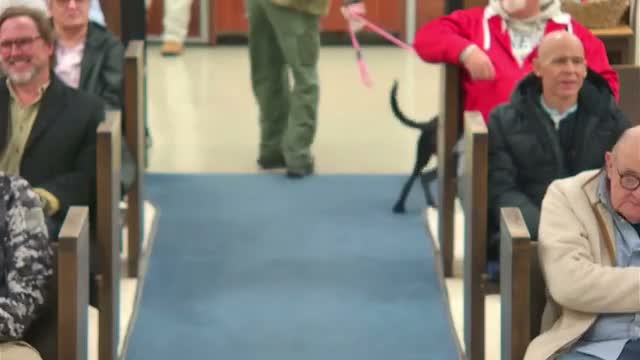 City auditors report adverse opinion tied to omitted component unit; single‑audit finds three issues