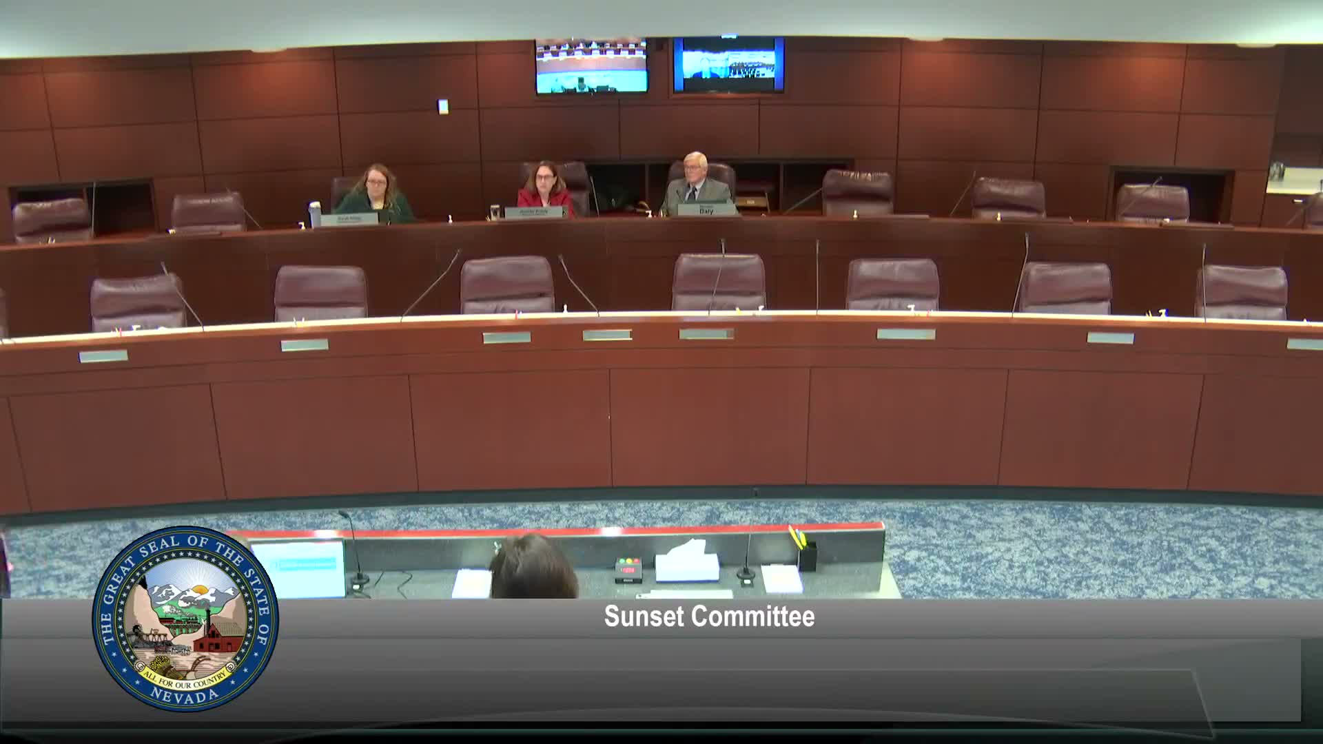 Deputy director flags compliance gaps, proposes statewide standards for Nevada boards