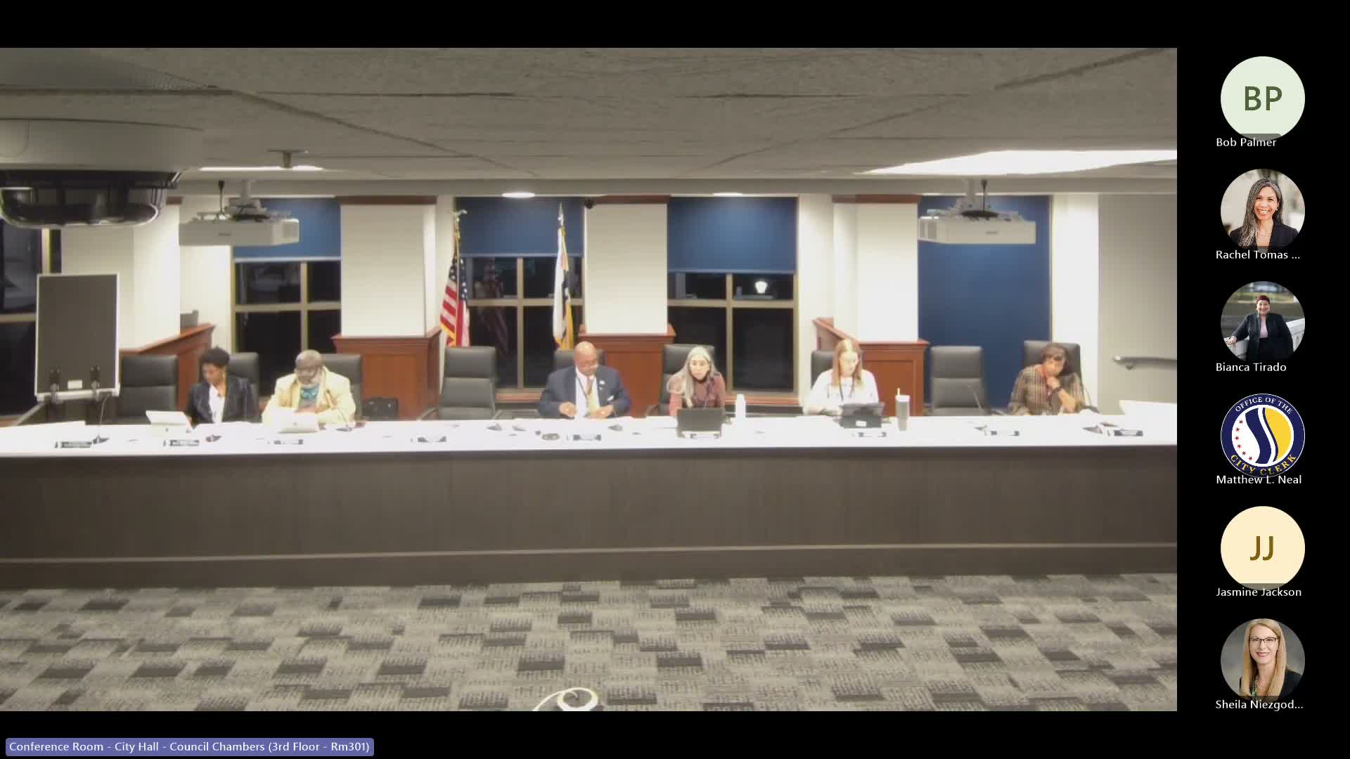 Council committee debates resolution to review SNAP/benefit response; forwards resolution to full council with no recommendation