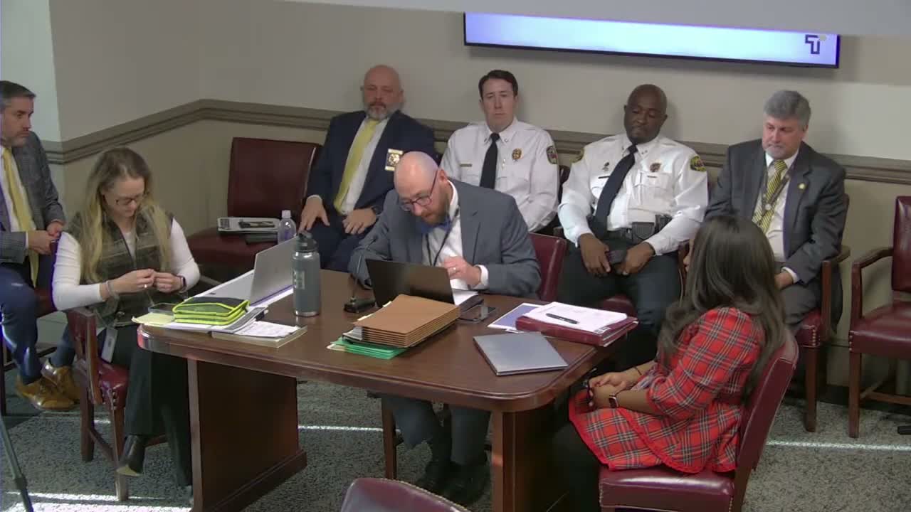 Committee advances amendment tied to confidential "Project X" to full council on Jan. 6