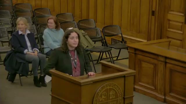 Commission approves pool and perimeter fence at 19 Pinehurst, notes ZBA review required for fence scalability