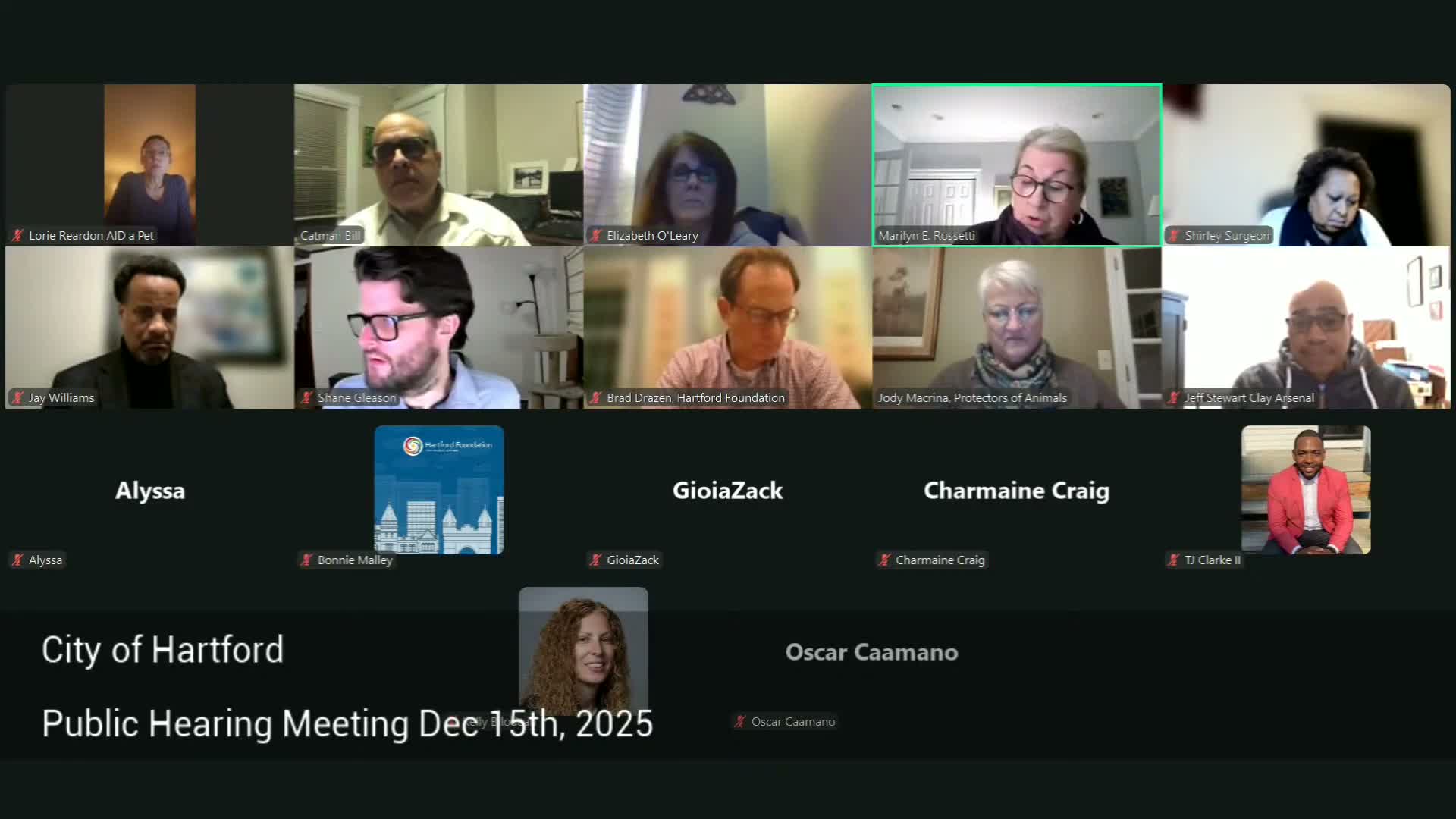 Hartford residents debate proposed limits on numbers of dogs and cats at public hearing