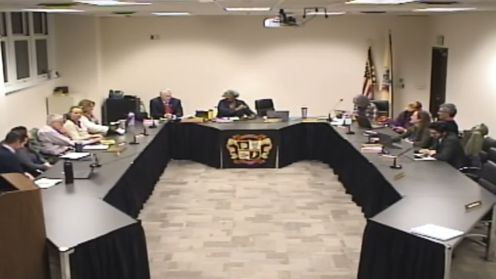 Board discusses lowering municipal voting age for school-board elections and regional programming plans