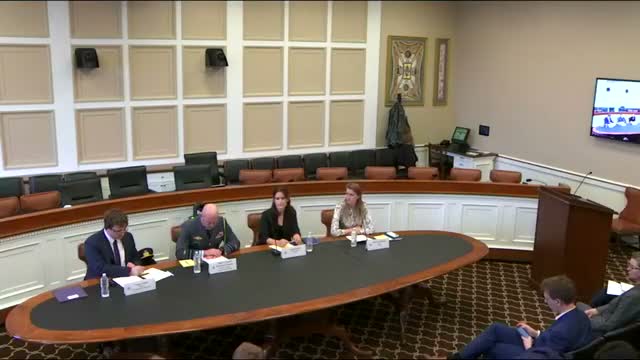 Speaker outlines Denmark's procurement model to fund Ukrainian defense, cites pilot deliveries and multi-year support