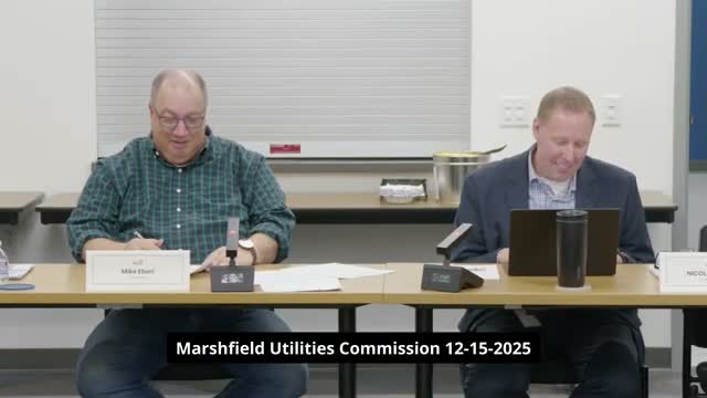 Marshfield commission continues long discussion of dark-fiber policy, debates market pricing and reserves
