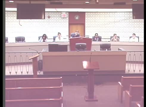 AUDIT AND REVISION RECORD