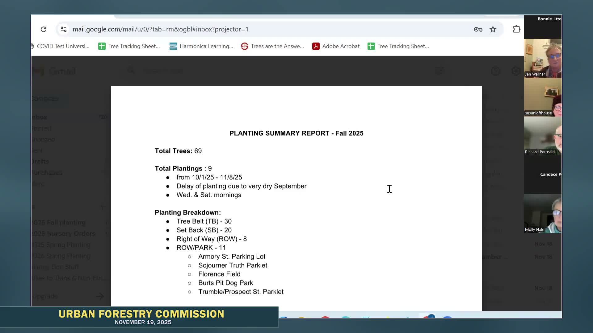 Northampton reports 69 trees planted this fall; replacement rate and watering challenges highlighted