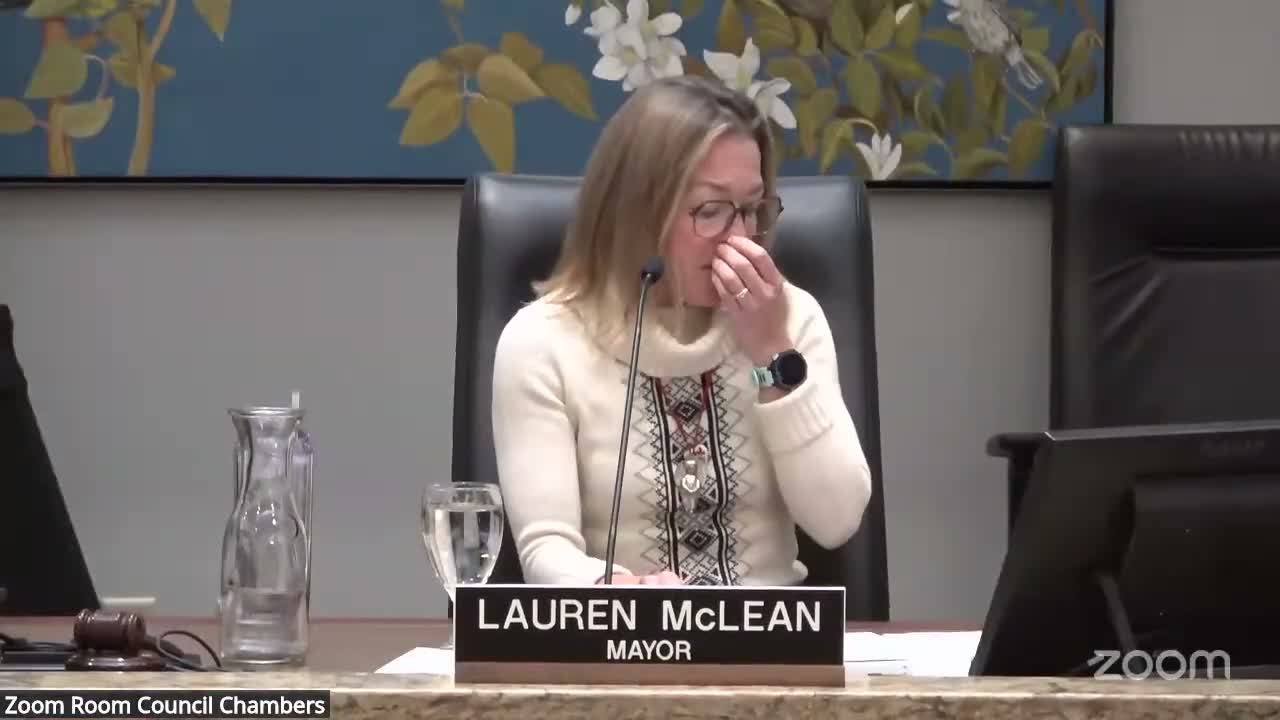 Library staff present downtown reinvestment plan; council hears 20‑year outlook