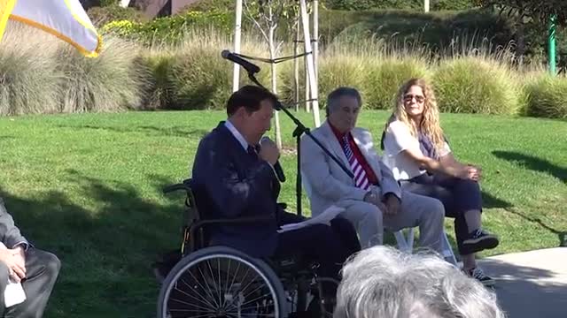 Audit of draft article against issues rules