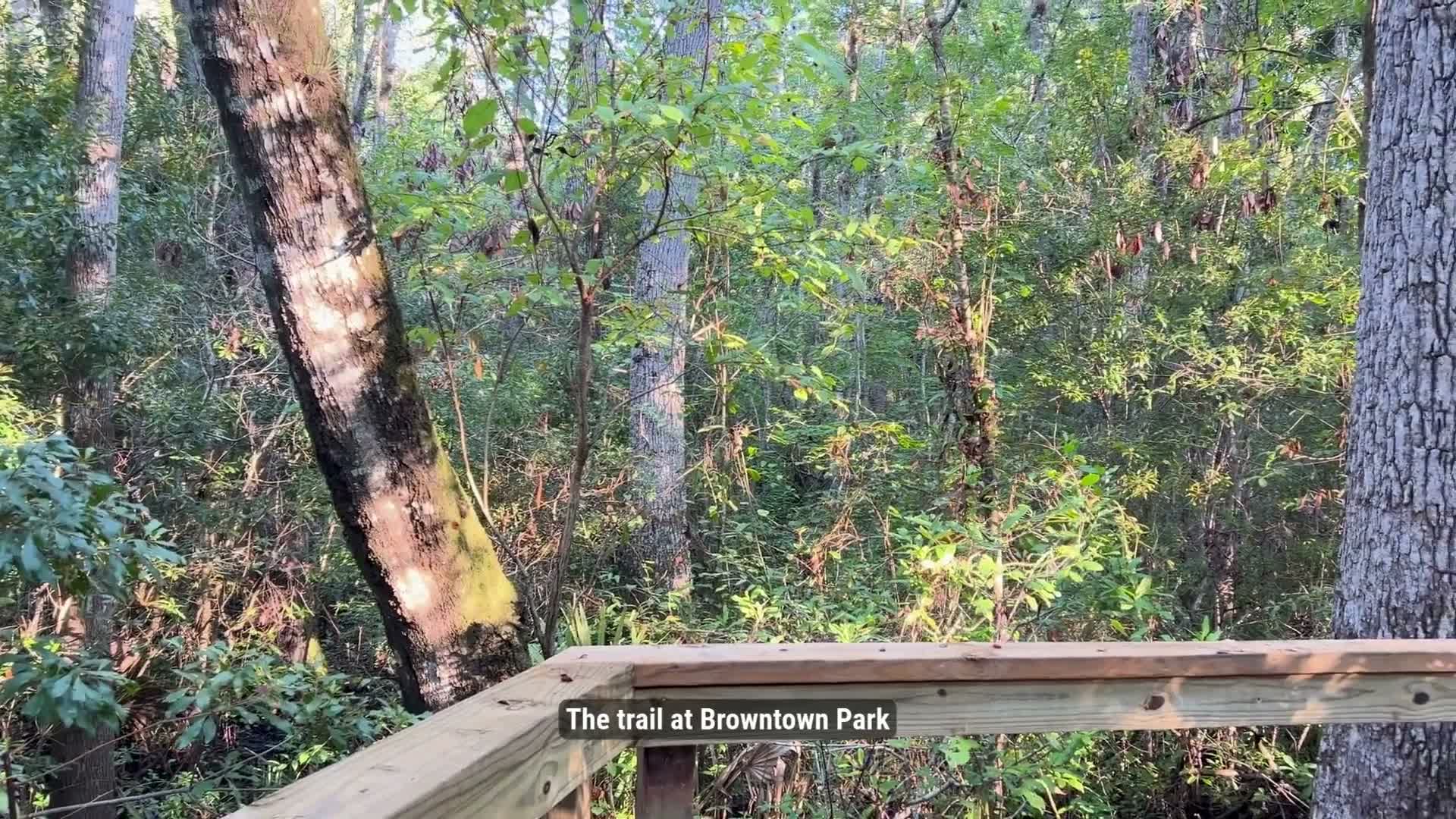 Camden County to rebuild Browntown Park boardwalk with $200,000 state grant