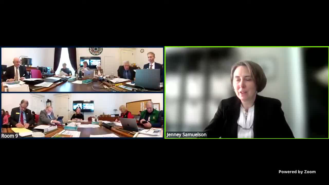 House Appropriations committee hears Agency of Human Services budget adjustment; AHS seeks about $33.2 million in general fund