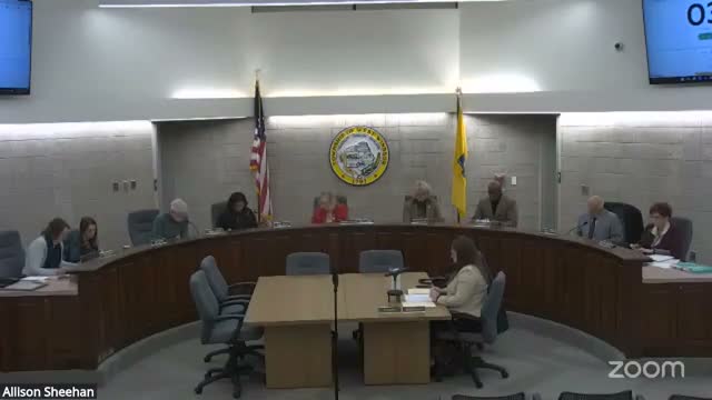 West Windsor council approves two zoning‑board alternates after councilmember objects over process