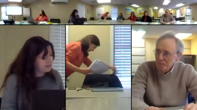 NHC updates: survey RFQ reduced, preservation‑plan grant advances and staff to assemble referral list