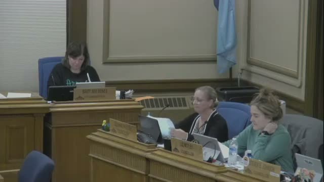 Virginia City council orders staff to treat $310,000 IRRRB allocation as pass‑through or offset after lengthy debate