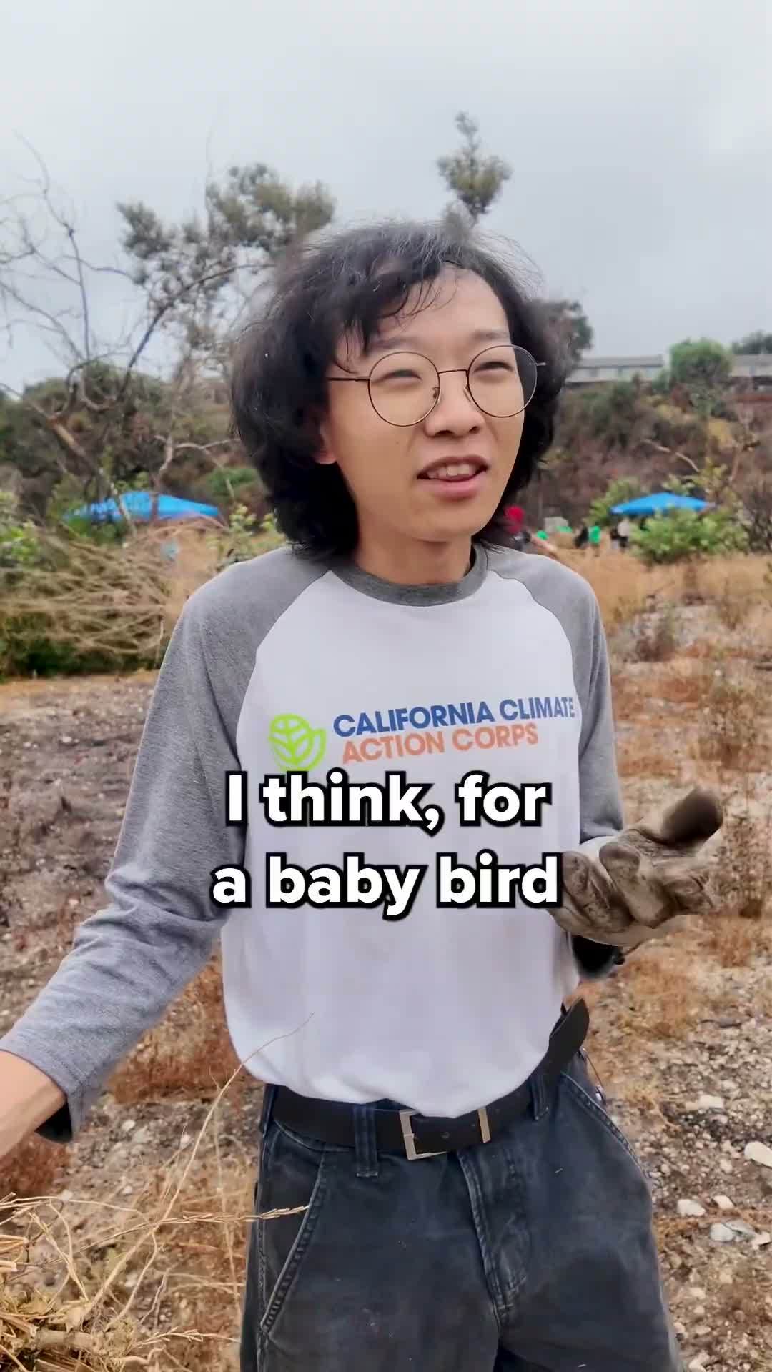 Volunteer at Community Common Action Day warns invasive mustard fuels fires, praises native plants' recovery