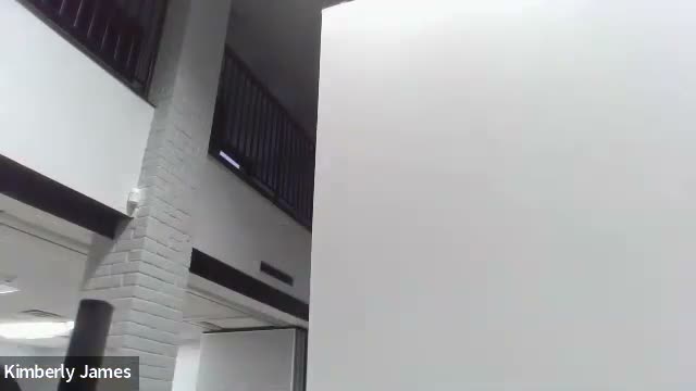 Council aides, recreation and Main Street programming round out Forest Park's year