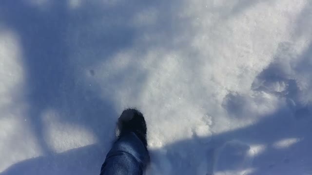 Mount Vernon outlines snow priorities: main arterials first, four plows on rotation