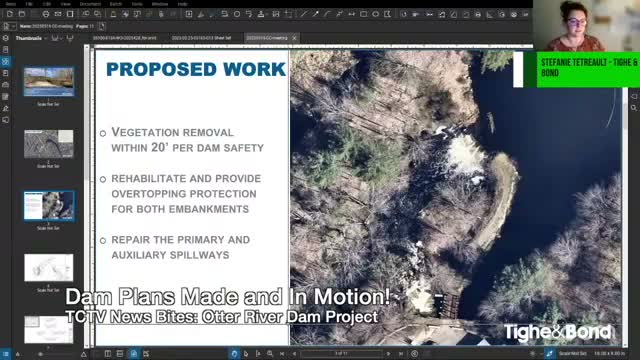 Dam rehabilitation proposal calls for vegetation removal, riprap and spillway repairs