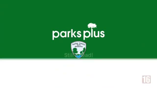 Pinecrest’s TrackMan simulator offers indoor swing analysis and social play in Fairfax County