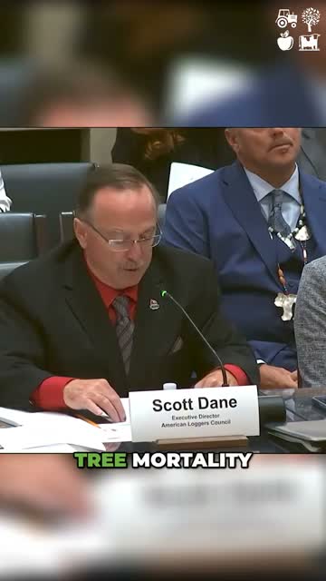 Tree deaths outpace growth two-to-one, speaker says; wildfire blamed, logging defended