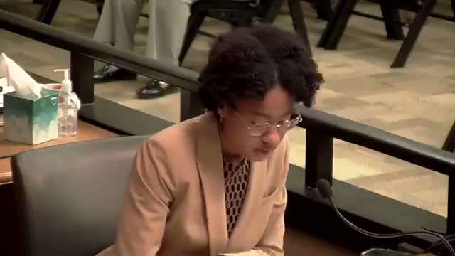 At a glance: emergency port‑authority appointment, airport rates resolution, and board appointments