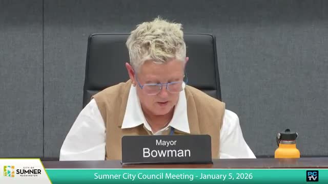 Council adopts 10-year fiber franchise with Forged Fiber 37 LLC