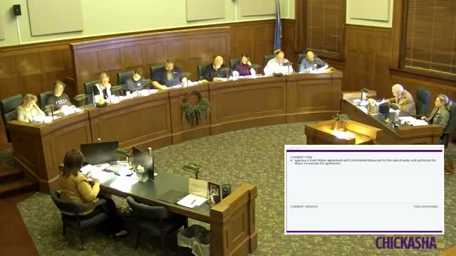Council opens hearings on proposed Airport Industrial Park TIF, hears questions on runway, security and property notice