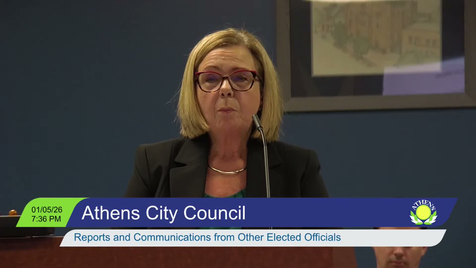 Law director reports caseloads, budget and pending litigation to council