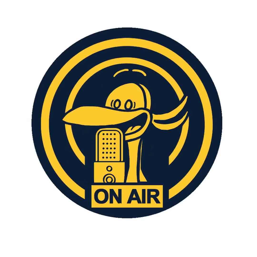 Podcast highlights: 3 quotes from Kenmore City Manager Terri Kilgore