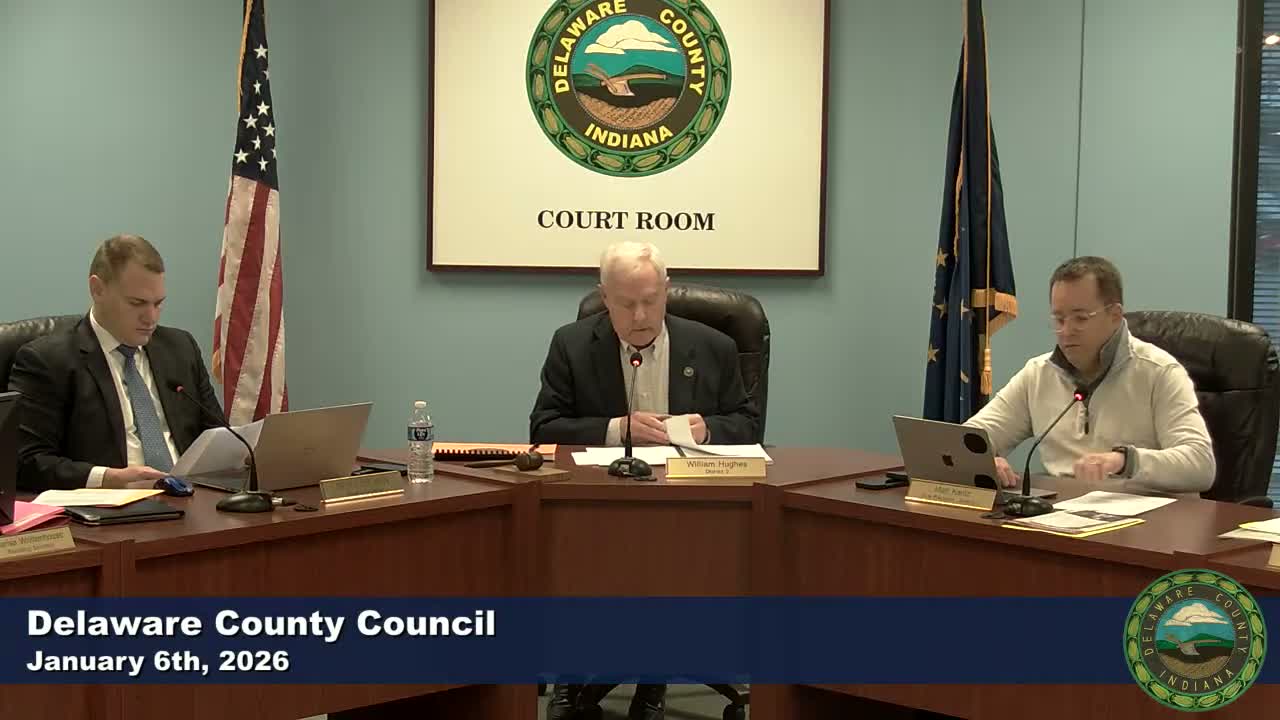 Council approves job descriptions and budget transfers to convert IT contractor lines into county positions